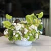 Green and white floral arrangement in a white textured bowl vase