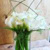 White calla lilies in a clear glass vase with arched stems