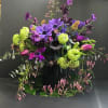 Deep enigmatic must have spring vibes with an assortment of, viburnum hydrangea