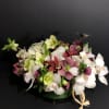 Lush assortment of captivating sprays of colorless cymbidiums and lush Eurasian genus