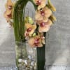 Elegant display of cut stem white orchid phalaenopsis captured by Australian flexi