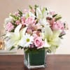 Description
Delicate blooms call to mind beauty, grace and sweetness&mdash;a reminder of the