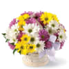 Brighten someone's day with this affordable bouquet of pastel blossoms! This cheap
