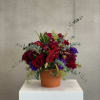 Red and purple floral arrangement in a terracotta pot