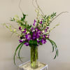 There&rsquo;s nothing quite as pretty as a generous bunch of delicate dendrobium
