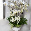 White orchid arrangement in a white bowl planter