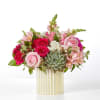 A lush blend of hot pink, blush, and white roses paired with