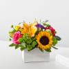 Mixed bouquet with sunflowers, roses, and lilies in a white box