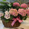 Pink hydrangea arrangement in a wicker basket with a gingham ribbon