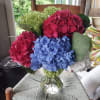 Bouquet of colorful hydrangeas in a clear glass vase