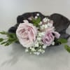 Small boutonniere with pale pink roses and white baby's breath on a dark shell