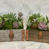 A rustic wooden chest planter filled with mixed succulents makes a thoughtful