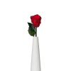 Premium preserved roses  in assorted colors ,beautiful presentation to last for