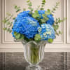 Rounded clusters of blue hydrangeas-from vivid cobalt to pale sky blue-create an