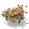 Peach Whisper features delicate pink-peach roses paired with airy wax flowers for