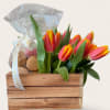 Tulip bouquet in a wooden crate with a clear gift bag and macarons