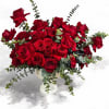 Red roses arranged in a white vase with trailing greenery