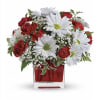 Red carnations and white daisies arranged in a red glass vase