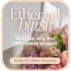 Our Ethereal Blush Designer's Choice is a soft and elegant mix of