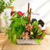 Bring nature indoors with this lush and vibrant garden planter featuring a