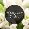 White tulips with a "Designer’s Choice" label