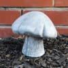 A small toadstool statue perfect for decorating a garden with a bit