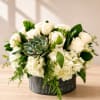Roses &amp; Succulents Arrangement &ndash; Rustic Charm Meets Modern Elegance
The Roses &amp;