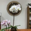 Two potted orchid plants with white and pink blooms on a table