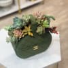 Succulent arrangement in a dark green handbag-shaped container