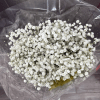 WHOLESALE BABY BREATH BUNDLE