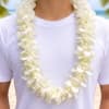 Pure white dendrobium orchids strung into a classic lei create an elegant