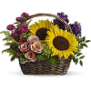 Basket arrangement with sunflowers, roses, and purple flowers