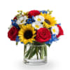 Celebrate Independence Day with bold, bright beauty. Stars and Sunlight bursts with