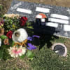 Bouquet of mixed flowers placed beside a gravestone