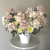 A timeless arrangement featuring premium blush roses, delicate white blooms, seasonal accents