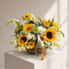 Basket arrangement of sunflowers and small white flowers with ribbon
