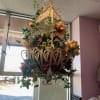 Hanging floral basket with orange blooms and ivy