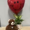 Heart-shaped smiley balloon with a teddy bear and potted plant