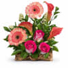 Bring a touch of coastal elegance to any space with our Coral