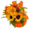 Ripe for the picking. Pumpkin Daze is full of whimsy. Our orange
