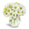 White mum daisy, and solidago for a simple sunny small arrangement.