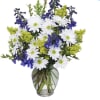 Daisy and delphinium, solidago in a clear vase