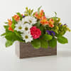 Mixed bouquet in a rectangular wooden box with daisies, carnations, and orange alstroemeria