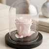 Enjoy the timeless beauty of a real, full-sized pink rose preserved to