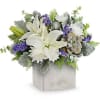 Sleek yet sweet! This stylish arrangement pairs a sculptural succulent with delicate