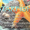 Advice from a starfish. Sea-ze the day. Share your amazing beauty. Put
