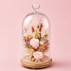 Pink roses under a glass dome on a wooden base