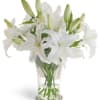 White lilies in a clear glass vase
