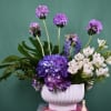 Purple and white flowers arranged in a white vase