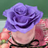 Everlasting preserved roses, touch of nature&rsquo;s elegance, beauty low maintenance.

Preserved roses are